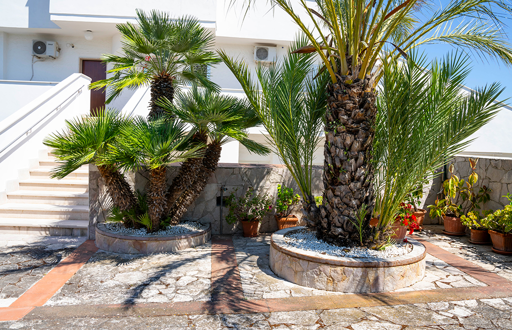 residence vieste