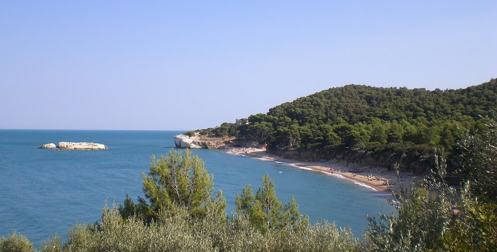 vieste appartamenti sul mare